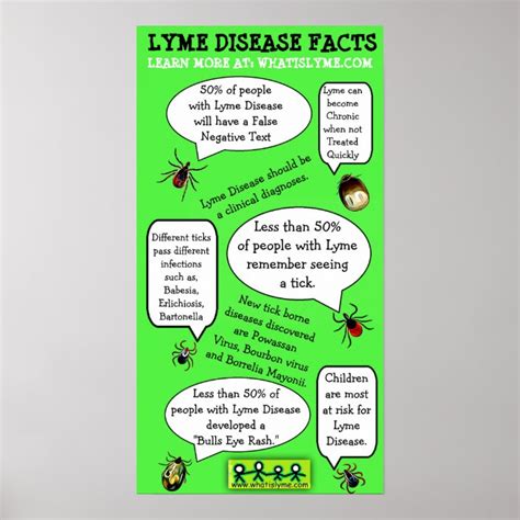 Lyme Disease Awareness Educational Facts Poster