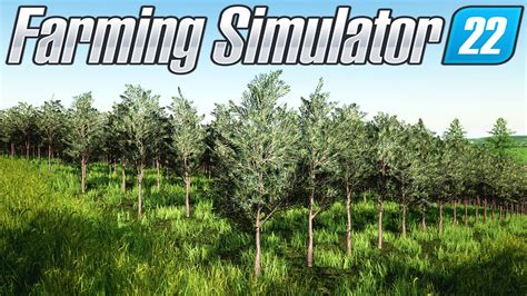 Plantando Oliveiras Farming Simulator Centro Oeste Map Youtube