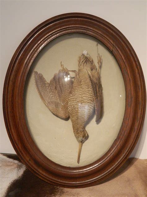 Proantic Pair Of Oval Curved Glass Frames With Naturalized Partridge