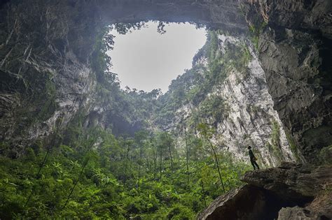 Barlangrekorderek a nagyvilágból - Ecolounge