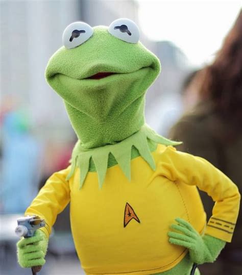 159 Best Images About Hi Ho Its Me Kermit The Frog On Pinterest