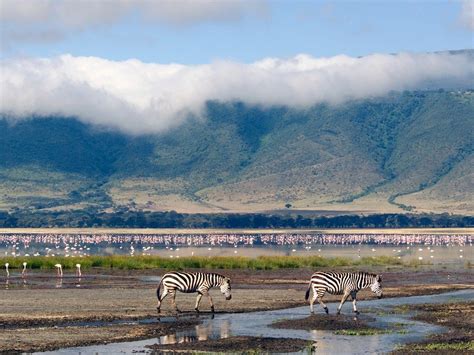 Home To 54 Countries Africa Has Something For Everyone Tanzania