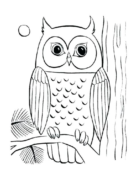 Baby Owl Coloring Pages At Free