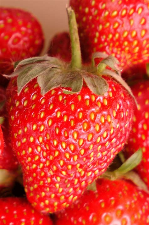 Strawberry Strawberries Free Stock Photo Public Domain Pictures