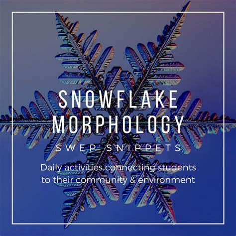 Snowflake Morphology Distance Learning