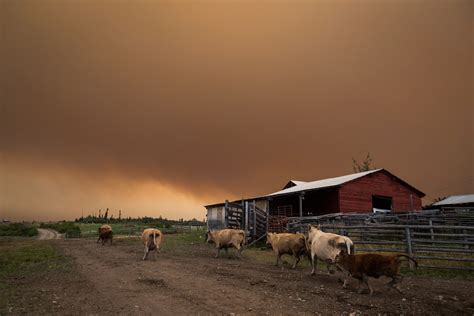 As of sunday, it was burning on the top and north slope of mt. Smoke from B.C. wildfires prompts air quality advisories ...