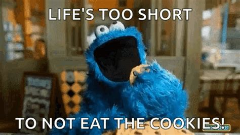 Cookie Monster Cookie Monster Sesame Discover Share GIFs