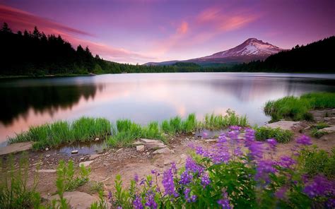 Super hd wallpapers
