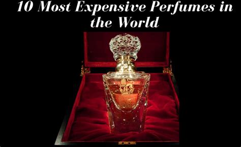 The 10 Most Expensive Perfumes In The World Guidene