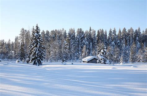 Hd Wallpaper Winter Lapland Barn Snow Nature Tree Cold