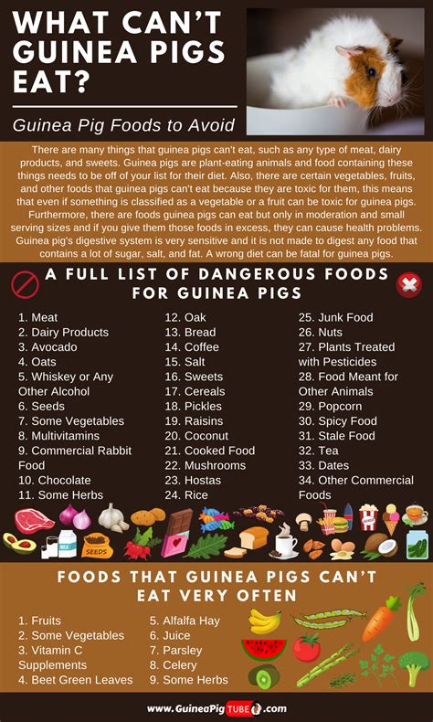 Guinea Pigs Diet Chart