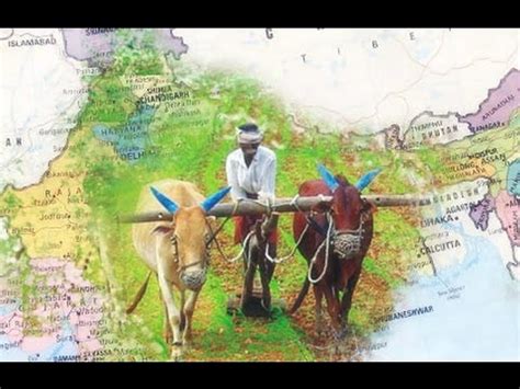 Importance of Agriculture in India Economy - YouTube