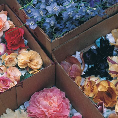 Some brands of silica gel contain blue crystals that change color to indicate how much moisture has been absorbed. Darius Skill: How Do You Preserve Flowers With Silica Gel ...