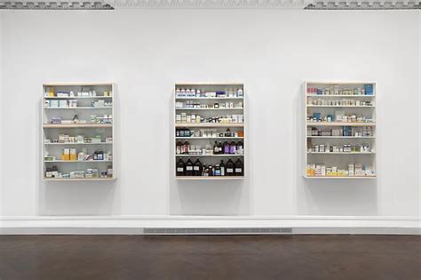This is discussed in various interviews that hirst has granted, in which he postulates a parallel between medicine and art. October 28 - December 11, 2010 - Medicine Cabinets ...