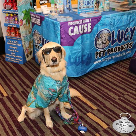 With surfin' jack moisturizing dog and cat shampoo, you can enjoy the scents of summer every time you give your pet a bath. BarkWorld Highlights: Tuna, Sophia, Gus, Shorty & more ...