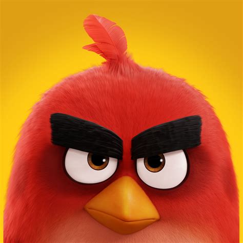 Download and view angry birds wallpapers for your desktop or mobile background in hd resolution. The Angry Birds Movie (2016) HD Desktop, iPhone & iPad ...