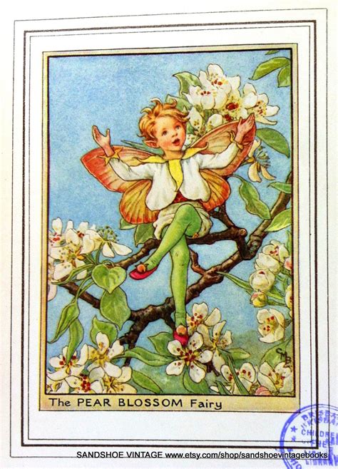 1930s The Pear Blossom Fairy Cicely Mary Barker Print Ideal For Framing