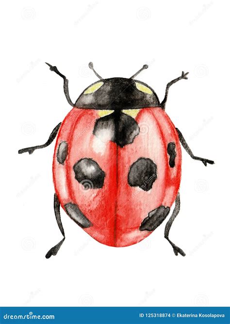 Illustration Red Cute Ladybug Watercolor Stock Illustration