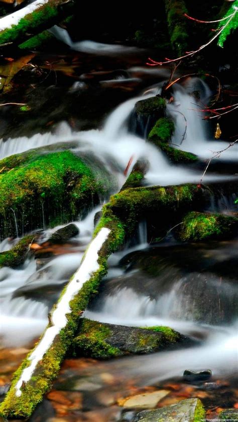 Free Download Beautiful Water Green Nature Iphone 6