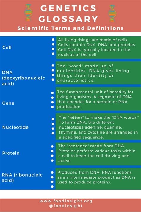 Genetics Glossary Scientific Terms And Definitions