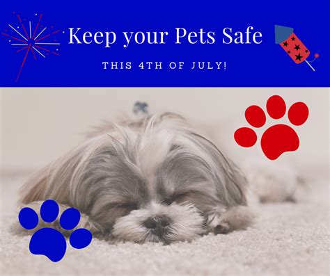 Tips To Keep Pets Safe This 4th Of July My Wicked Tribe
