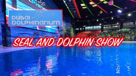 Dubai Dolphinarium Seal And Dolphin Show Youtube