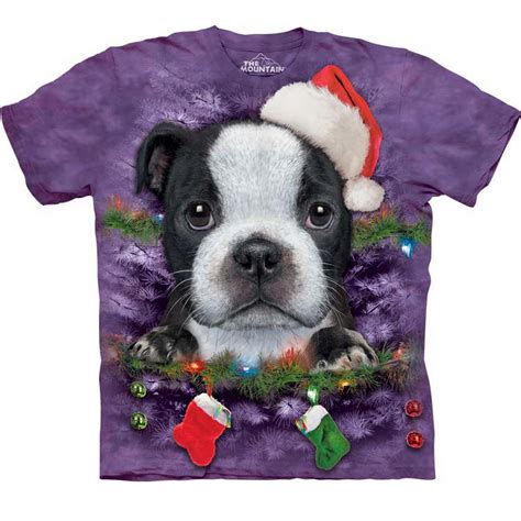 Vincent Hie Productions The Mountain Boston Terrier Puppy X Mas
