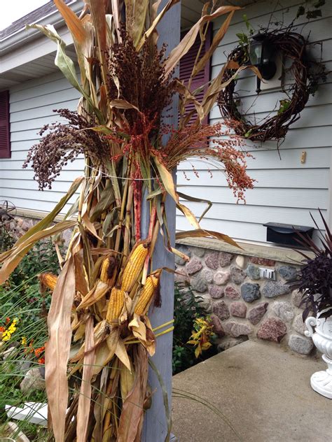 Where To Buy Corn Stalks For Decorating Appearance Chatroom Picture