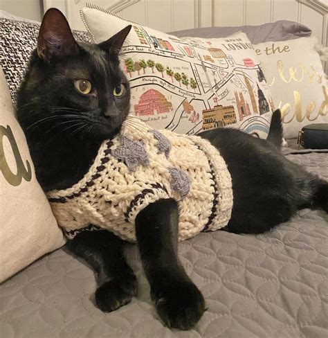 These Cat Cardigan Sweaters Are An Adorable Way To Keep You Kitty Cozy