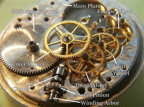 Elgintime Vintage Horological Know Your Watch Parts
