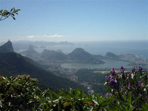 Tijuca Forest National Park Brazil With Map And Photos