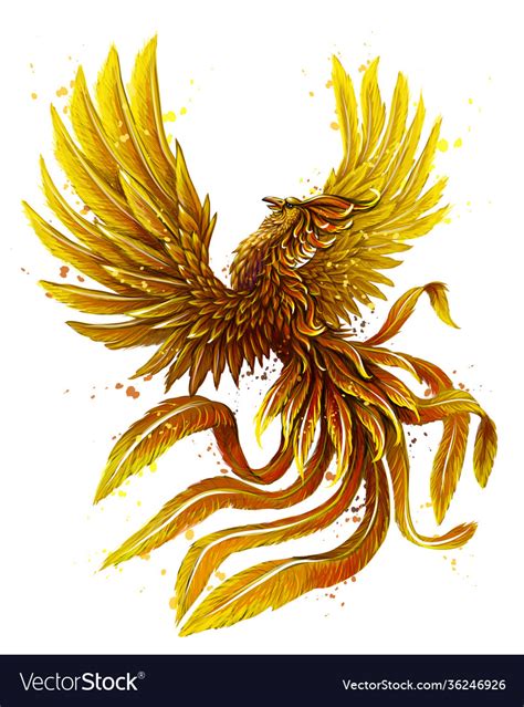 Phoenix Color Graphic Digital Drawing Royalty Free Vector
