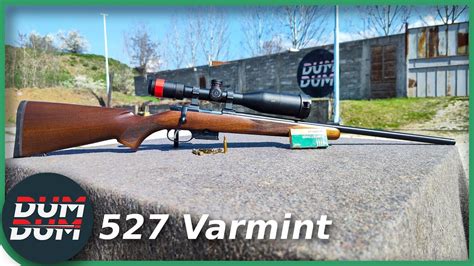 Cz 527 Varmint 17 Hornet Mali Ali Ultra Brz Youtube