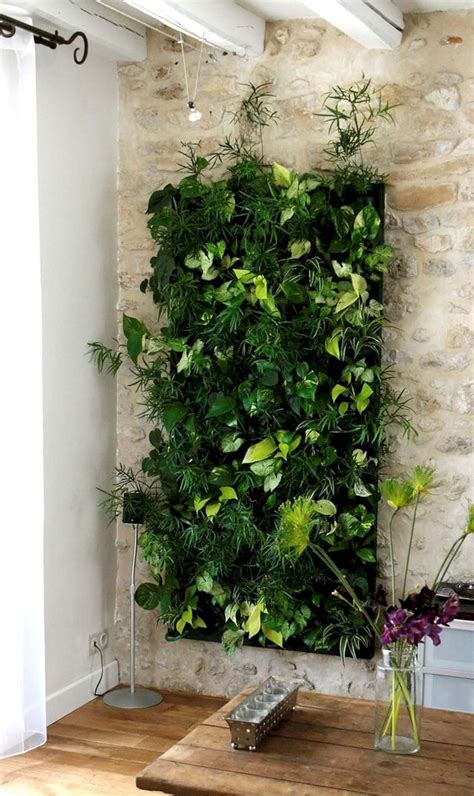 All You Need To Know About Vertical Garden