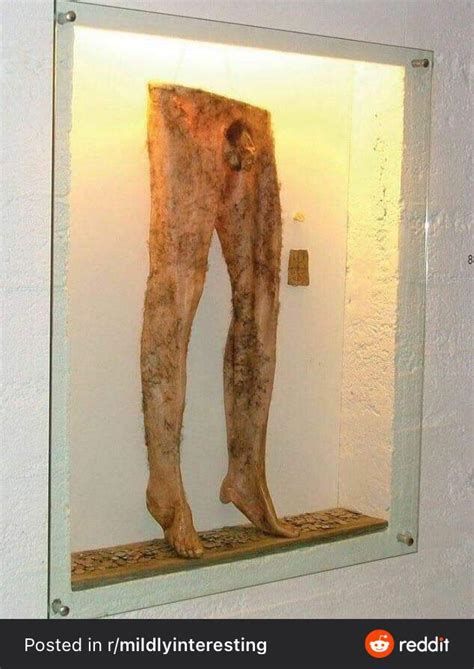 A Pair Of Icelandic Necropants Made From A Dead Persons Flayed Skin