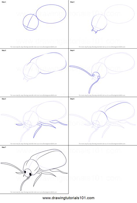 How To Draw Volkswagen Beetle Printable Step By Step