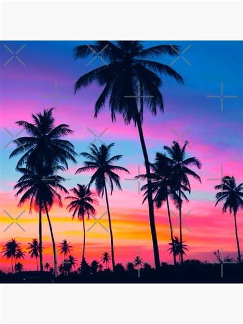 Tropical Pink Sunset Palm Tree Sticker For Sale By Abdelkarim1