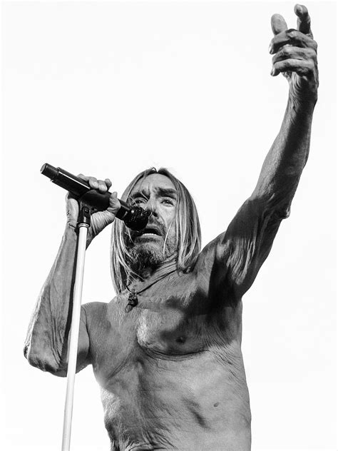 Watch the trailer for iggy pop's latest preliminaires. to be released on emi france may 18, 2009. Iggy Pop - Wikipedia