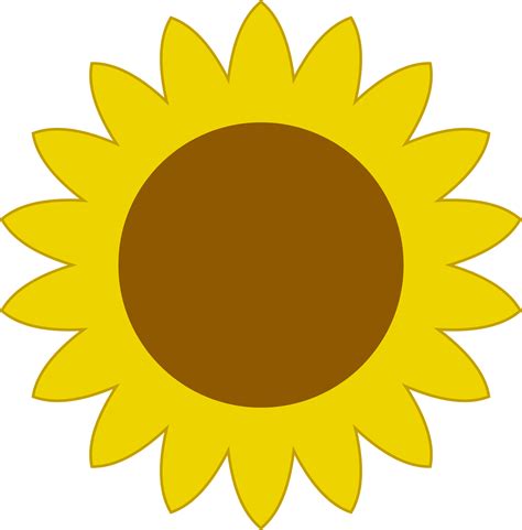 Daisy Clipart Sunflower Daisy Sunflower Transparent Free For Download