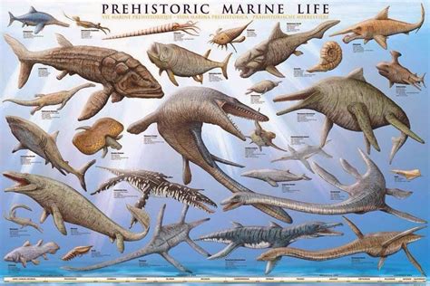 Prehistoric Marine Life Dinosaur Posters Dinosaur Art Prehistoric