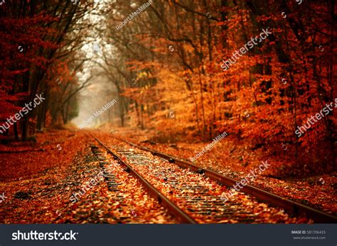 18714 Autumn Railroad Tracks Images Stock Photos And Vectors Shutterstock