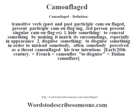 Camouflaged Definition Camouflaged Meaning Words To Describe Someone