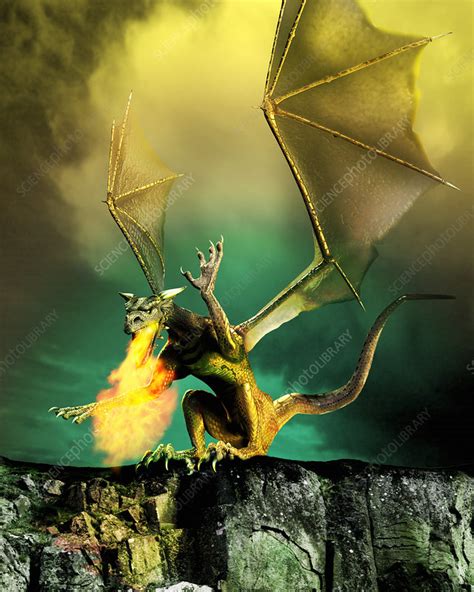 No effect against strong against: Winged dragon - Stock Image - Z965/0036 - Science Photo Library