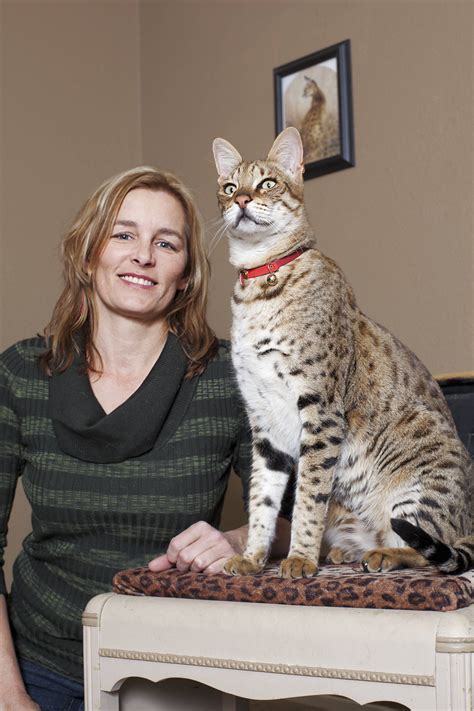 Mews The Amazing Cat World Records Katzenworld