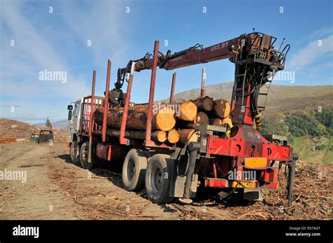 Lorry Transporting Logs Hi Res Stock Photography And Images Alamy