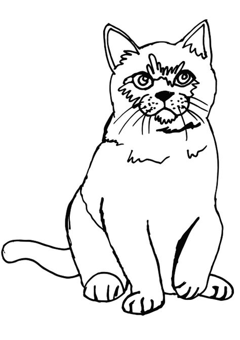 Котка Пухкав Оцветяване Страница · Безплатно изображение в Pixabay