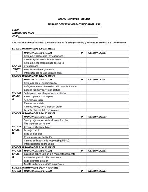 Ficha De Observacion Motricidad Gruesa Anexo 1 Anexo 1 Primer