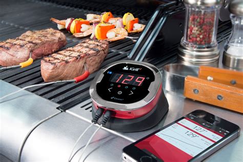 Review Idevices Igrill2 Wired
