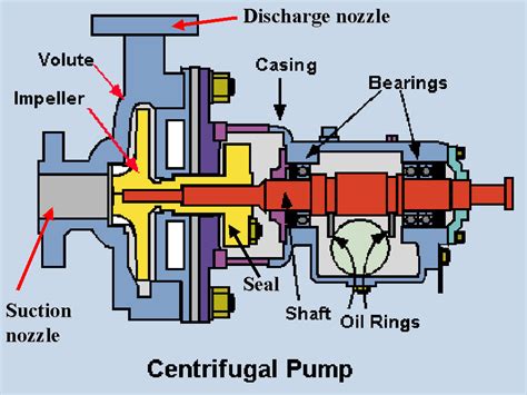 Parts Of Centrifugal Pump Catalog Library