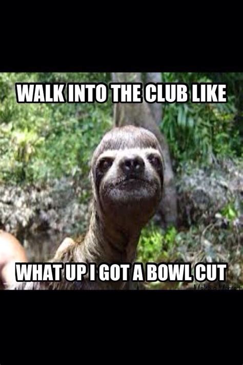 23 Best Images About Funny Sloth Jokes On Pinterest